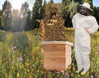 a man in a bee suit standing next to a beehive