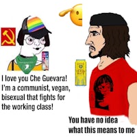 i love che guevara, i'm a communist, i'm a vegan, i'