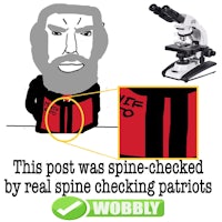 this post spine checked by real spine checking patriots