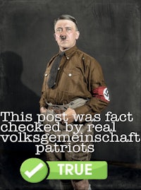 this post was fact checked by real volkswagen