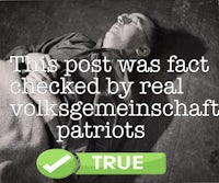 this post was fact checked by real volkswagen patriots true