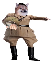 a dog dressed up as a soldier