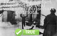 this post was fact checked by real volkswagen patriots true