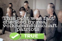 this post was fact checked by real volkswagen geheimnast patriots true