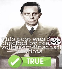 this post was flagged by real volkswagen spies true patriots