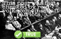 this post was fact checked by real volkswagen patriots